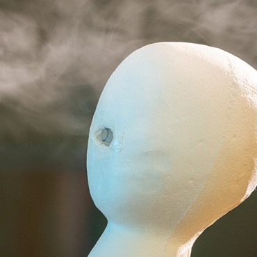 A model of a human head