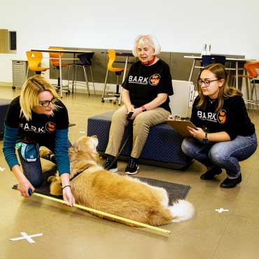 B.A.R.K. program coordinator Freya Green measures therapy dog Dash for the study. Floor Xs mark students seating, with discussion encouraged with handler Maureen Watt and researcher Mikaela Dahlman.