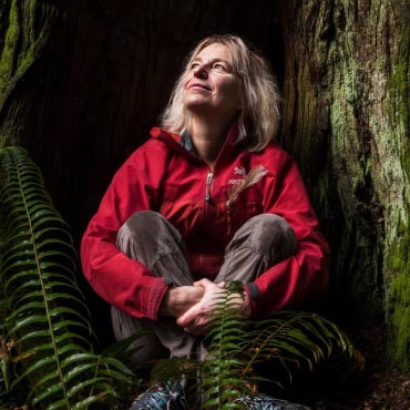 Suzanne Simard sitting in the forest