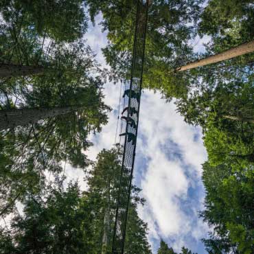 Greenheart TreeWalk at the UBC Botanical Garden.